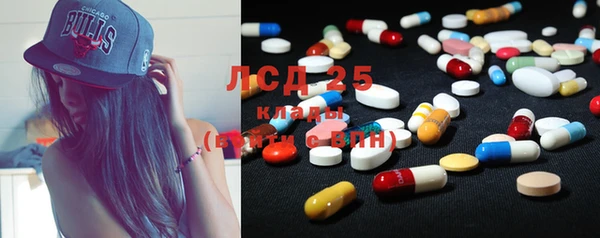 ПСИЛОЦИБИНОВЫЕ ГРИБЫ Бугульма