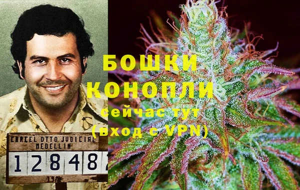 COCAINE Бородино