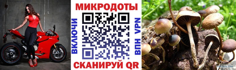 omg ссылка  Емва  Псилоцибиновые грибы мицелий 